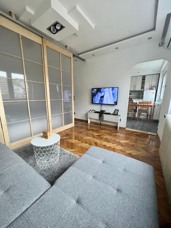 Comfortable Apartment In City Hub Белград Екстер'єр фото